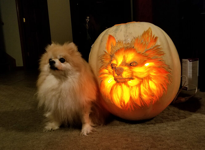 jack o lantern