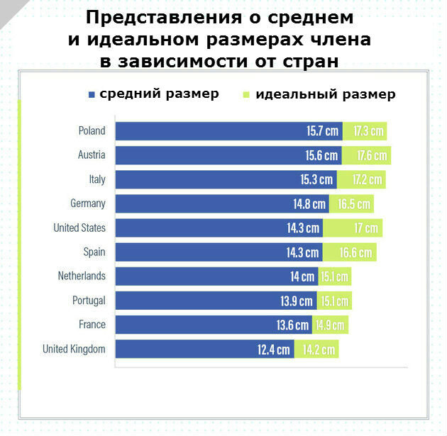 Какой он, идеальный размер? Опрос в 10 странах показал, что...