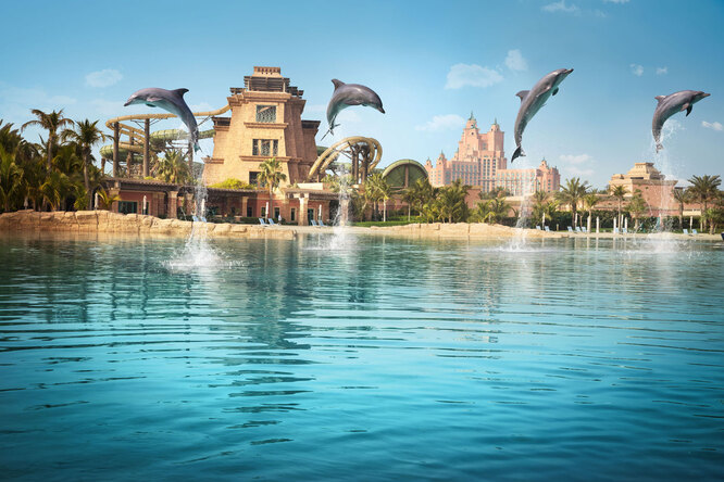 8 причин слетать в Дубай и остановиться в отеле Atlantis, The Palm