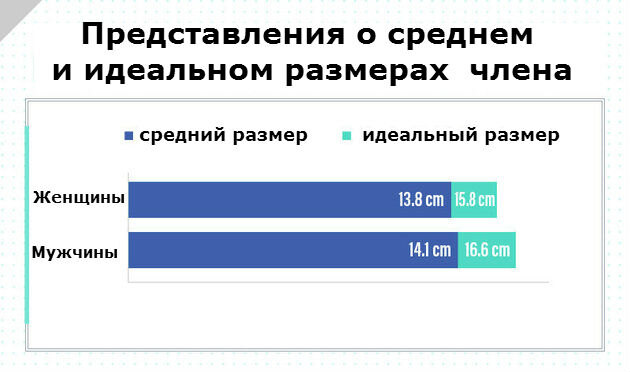 Какой он, идеальный размер? Опрос в 10 странах показал, что...