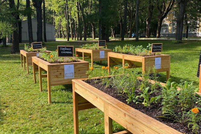 Открытие «Ботанических затей» Аптекарского огорода в Музее-усадьбе «Архангельское»