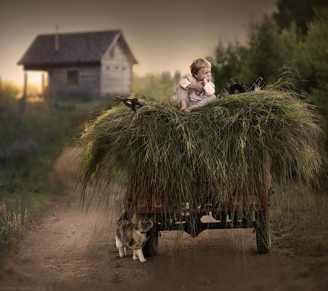 Фото Елены Шумиловой