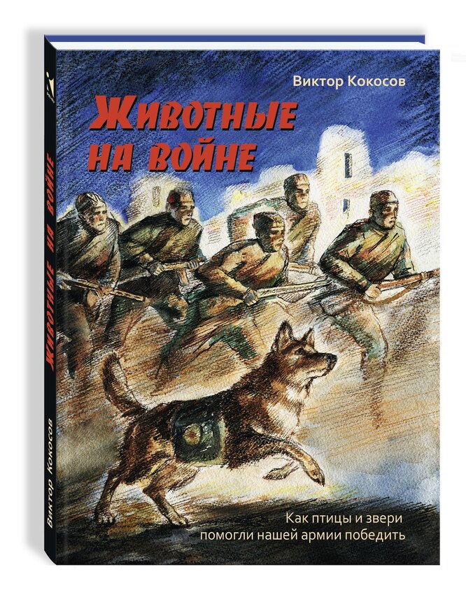 Что почитать с детьми о Великой Отечественной войне: 10 хороших книг, названия, сюжет