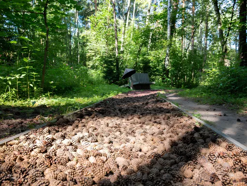 Прочь из Москвы: куда поехать с детьми на пару дней